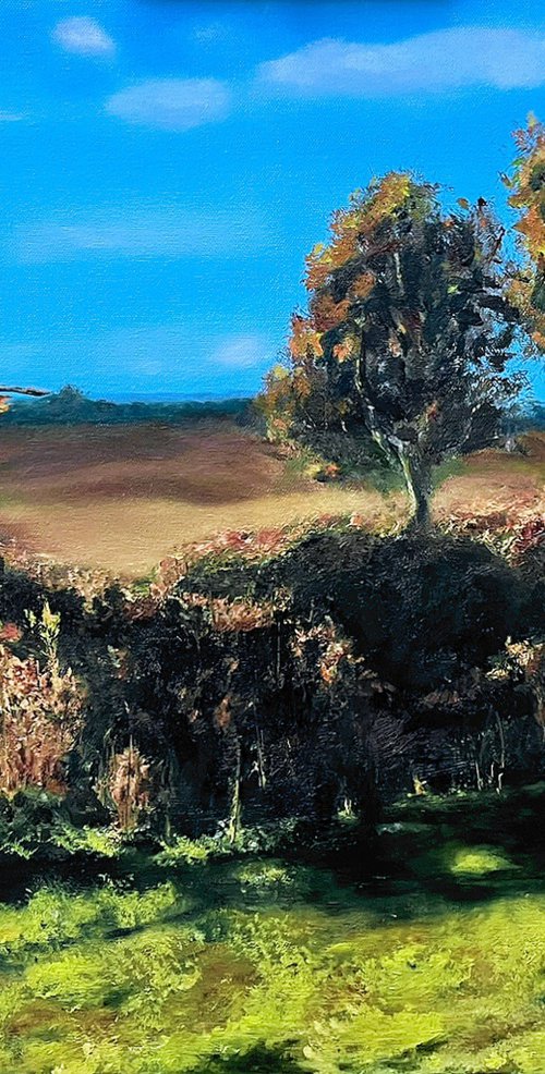 View from Castle Hill Lane by Kamil Woj