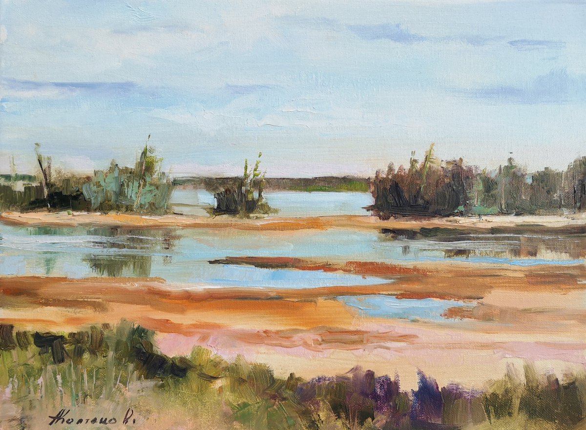 By the salt marshes (12x16A�0.7) by Alexander Koltakov