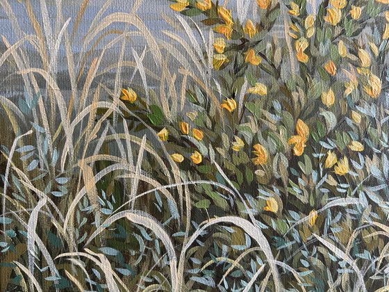 Springtime by the Dune