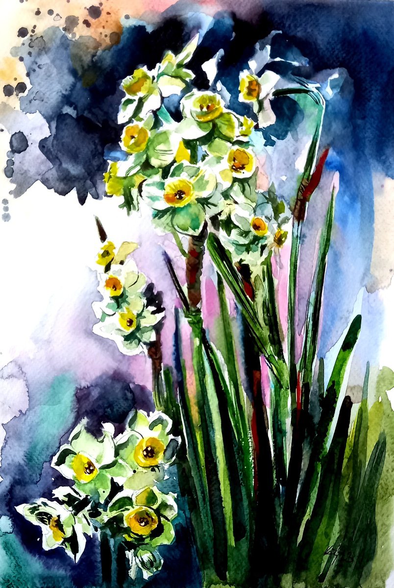 Narcissus florals by Kovacs Anna Brigitta