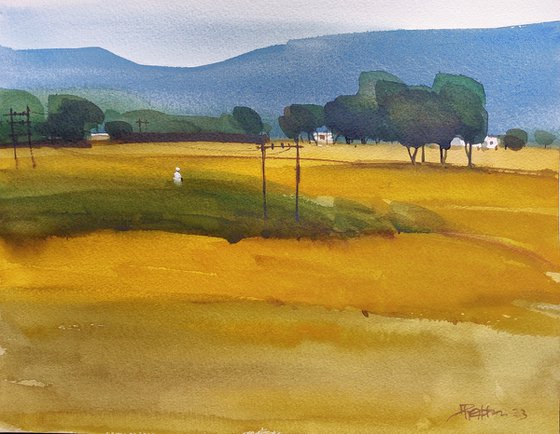 Indian yellow, summer light 1