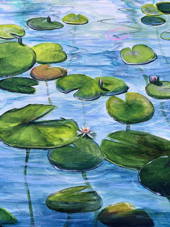 Water Lilies 4