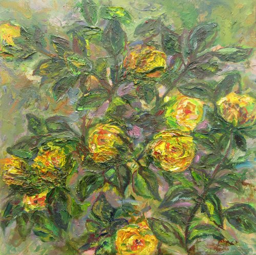 Original Oil Painting of Blush Yellow Roses Bush Romantic Impressionism Blooming Floral Housewarming Palette Knife Heavy Textured Small 12x12 in. (30x30 cm) by Katia Ricci
