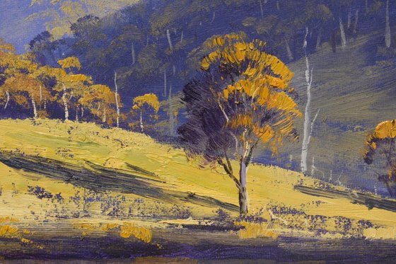 Kanimbla Valley nsw landscape