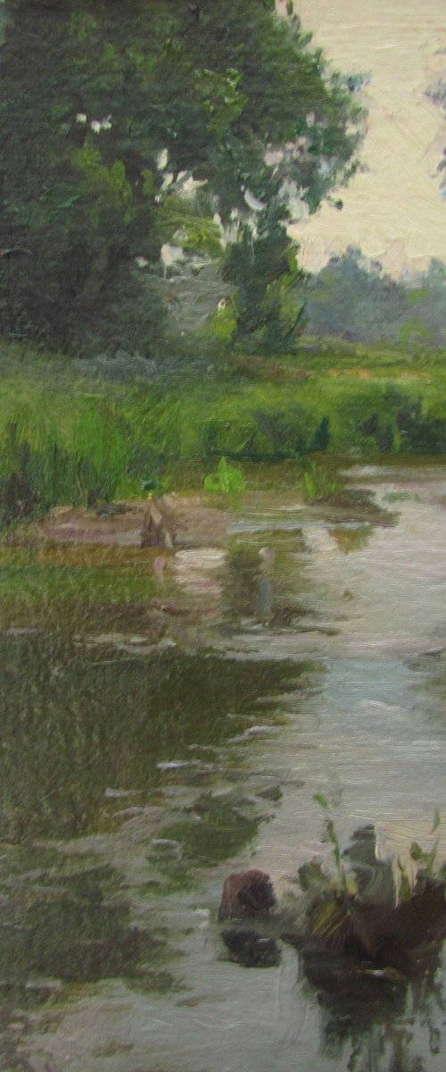 After the rain by Viktoriia Pidvarchan