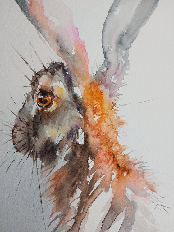 Watercolour Hare portrait