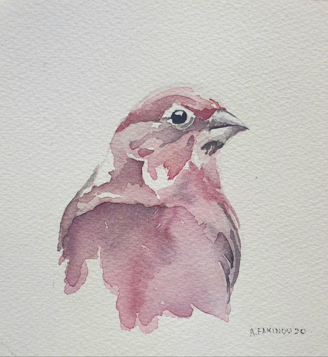 Pink Bird by Andriana Fakinou