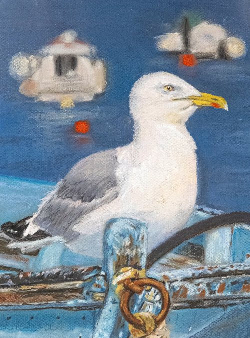 The Seagull by Catherine Varadi