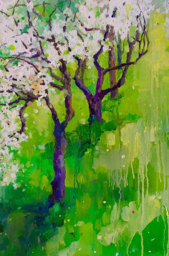Whispers of Blossom Light