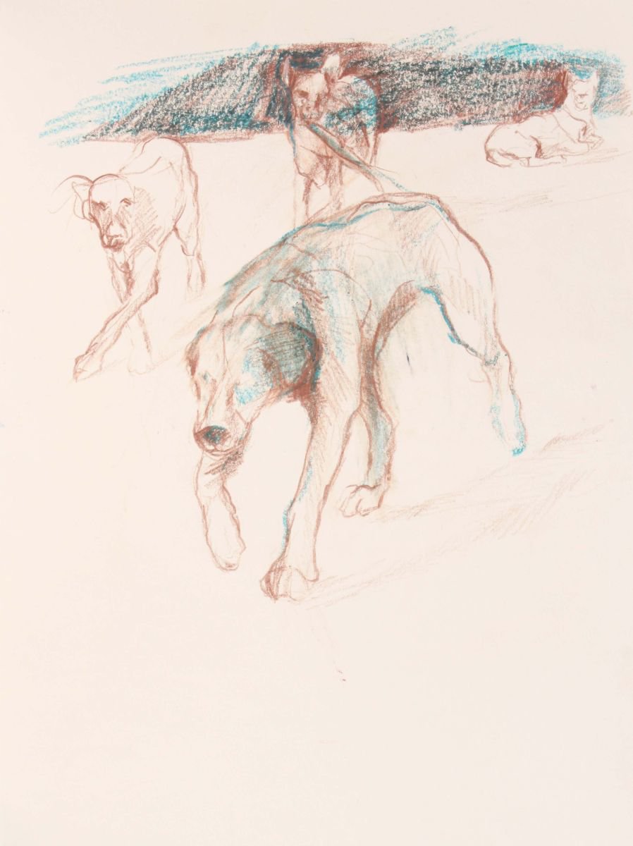 Street Dogs by Margit Platny