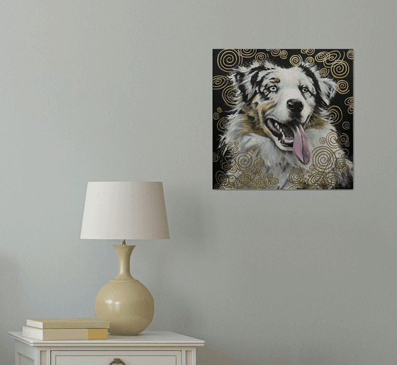 Australian shepherd