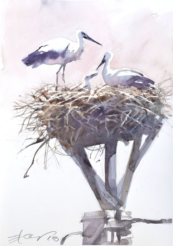 Storks in the nest 3