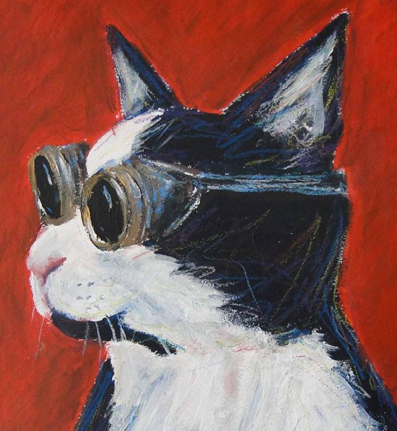 Goggles Cat