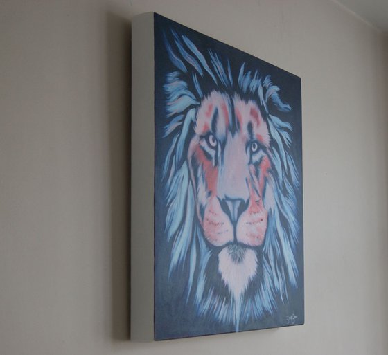 Intense Gaze 60cm x 60cm ( on canvas ) Free Shipping