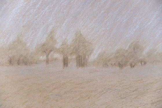 Earthy tones field landscape