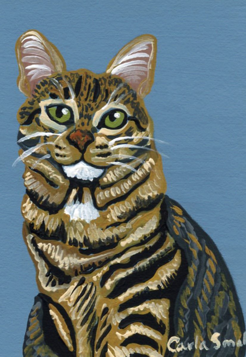 Tabby Cat by Carla Smale