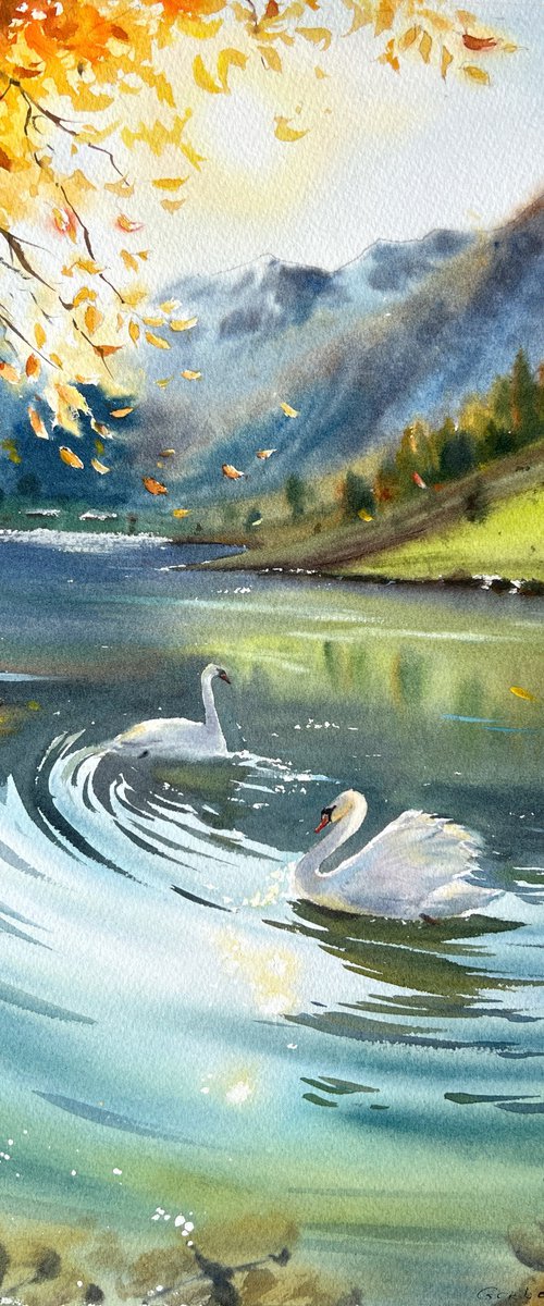 Swan Lake by Eugenia Gorbacheva