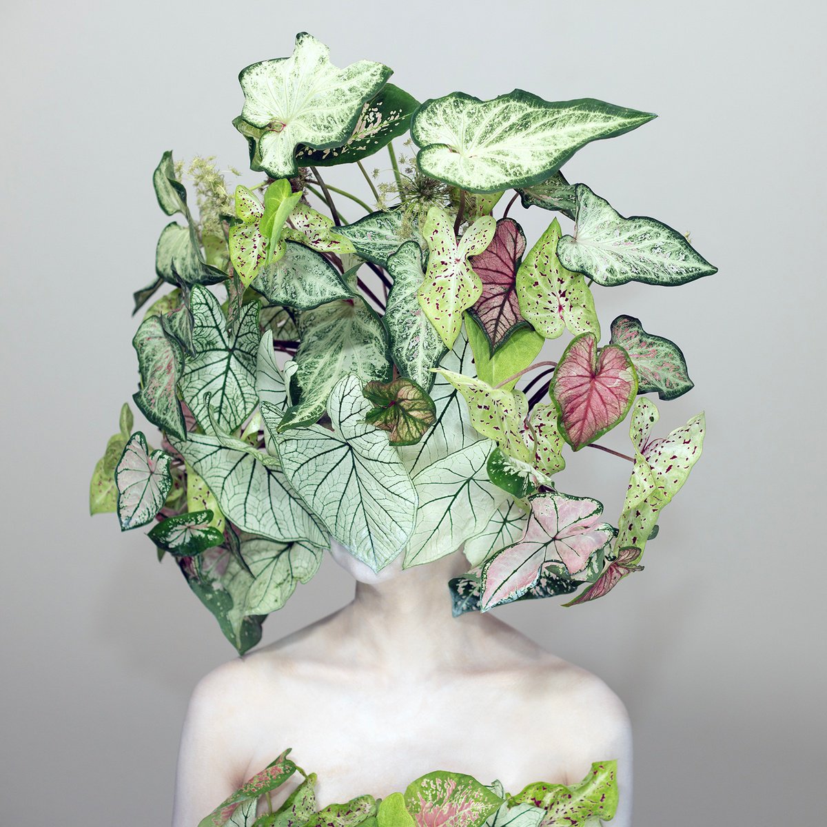 Surrealistic Portrait Photograph By Ziesook You, 20 X 20", Scent Of Austin 07082025, Original Artwork