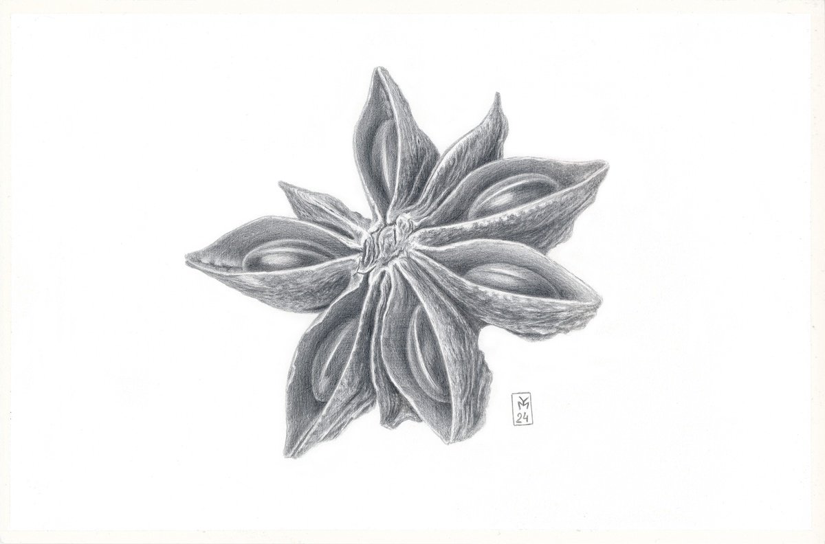 Star Anise Silverpoint by Yuliia Moiseieva