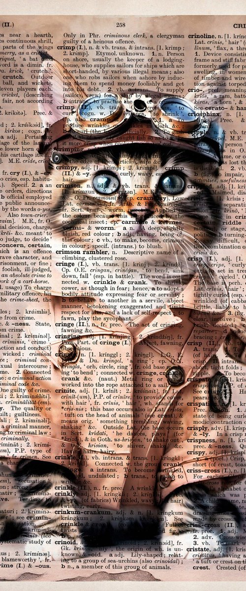 Aviator Dressed Kitty by Misty Lady - M. Nierobisz