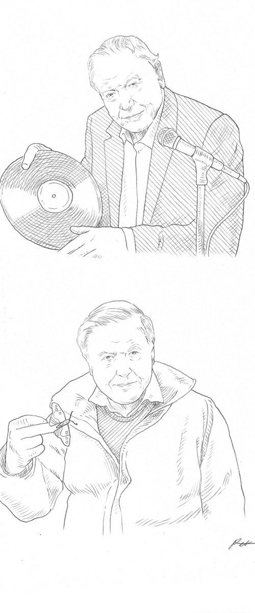 David Attenborough by Peter James Field