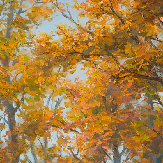 Autumn in an Oak Grove