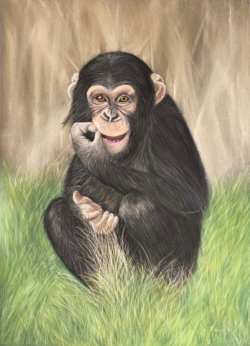 Cheeky chimp by Maxine Taylor