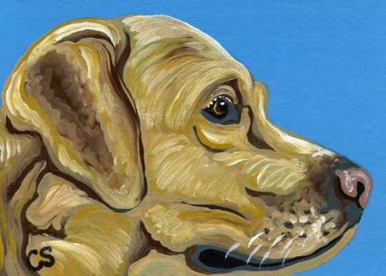 ACEO ATC Original Painting Yellow Labrador Retriever Pet Dog Art-Carla Smale