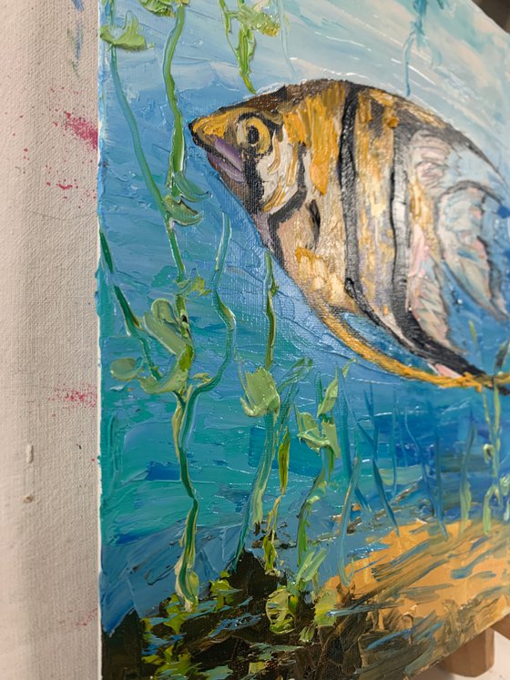Fish.