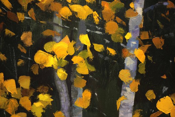 Golden aspens