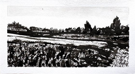 Pennsylvania Fields