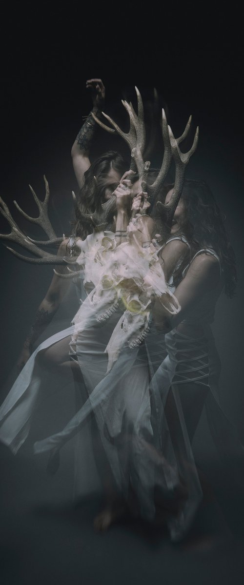 The Soul II by Cédric Brion
