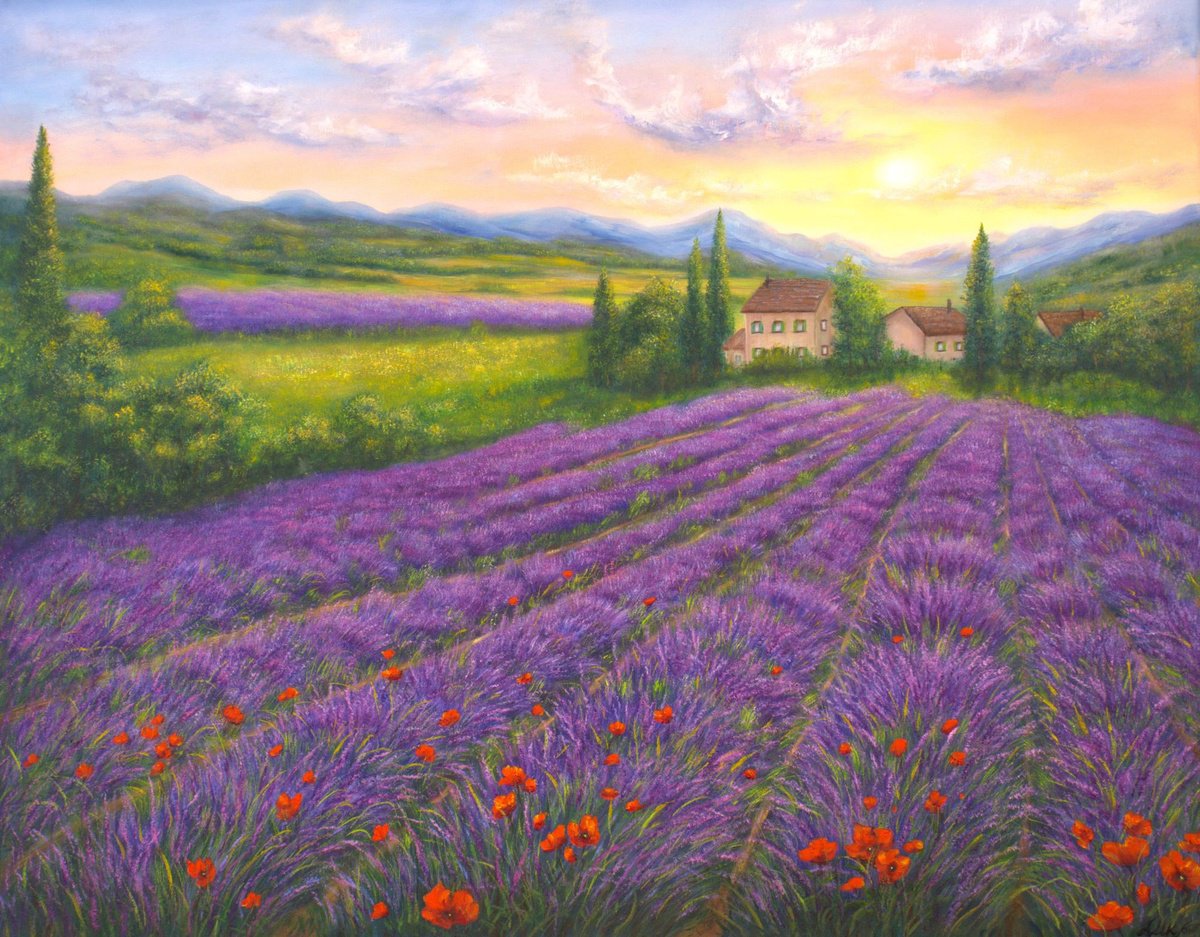 Purple lavender field by Ludmilla Ukrow