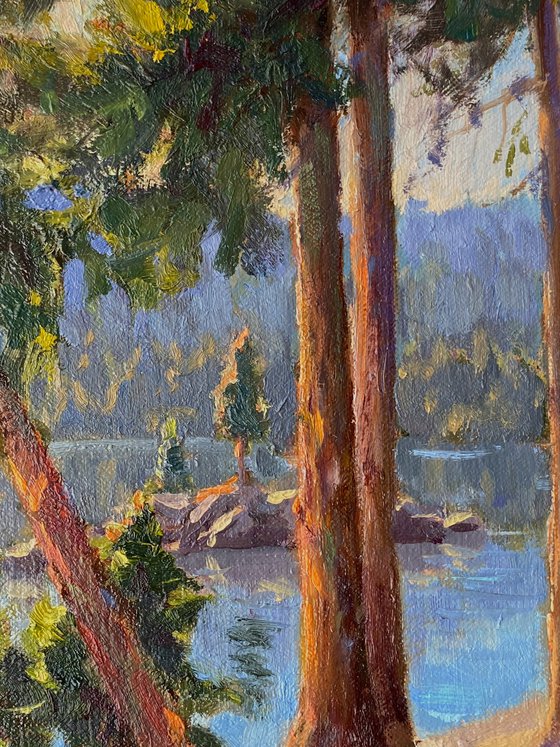 Woods Lake Pines