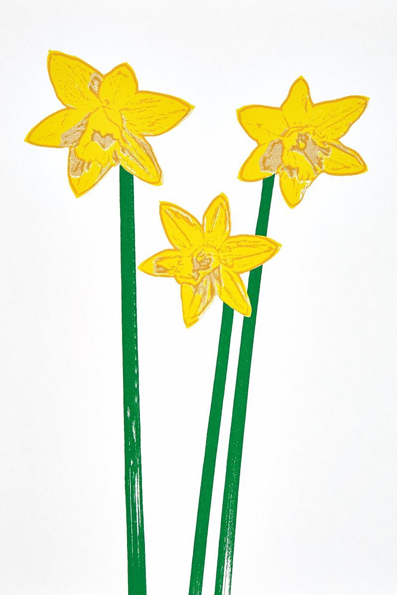 Daffodils 2 by Ed Watts
