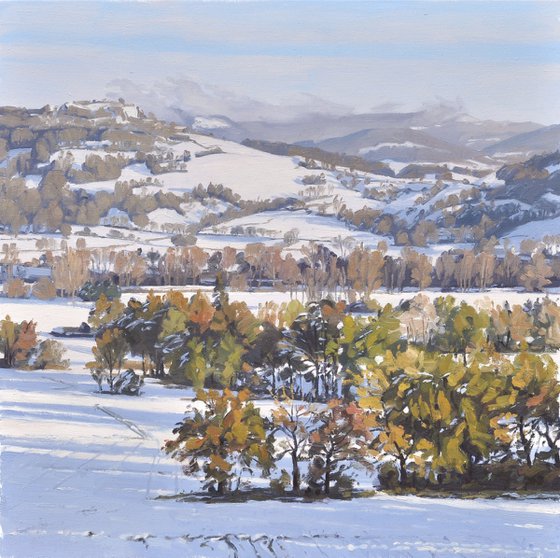 Snow on the valley, evening light