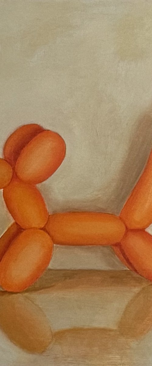 Sunny The Baloon Explorer by Priyanka Singh