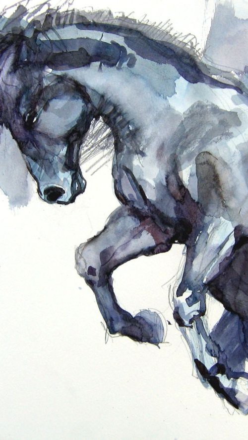 black stallion 3 by Goran Žigolić Watercolors
