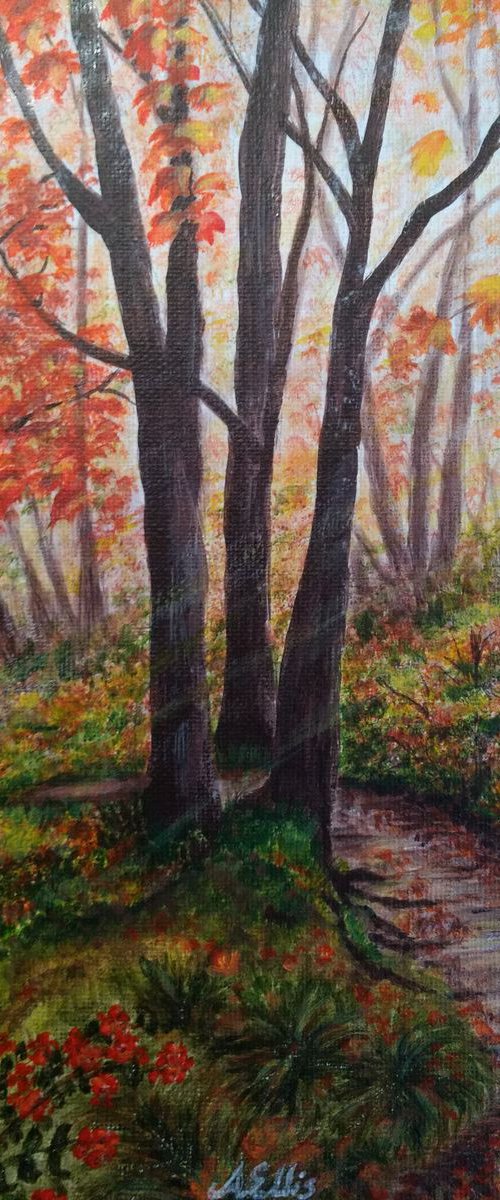 Autumnal Woodland by Anne-Marie Ellis