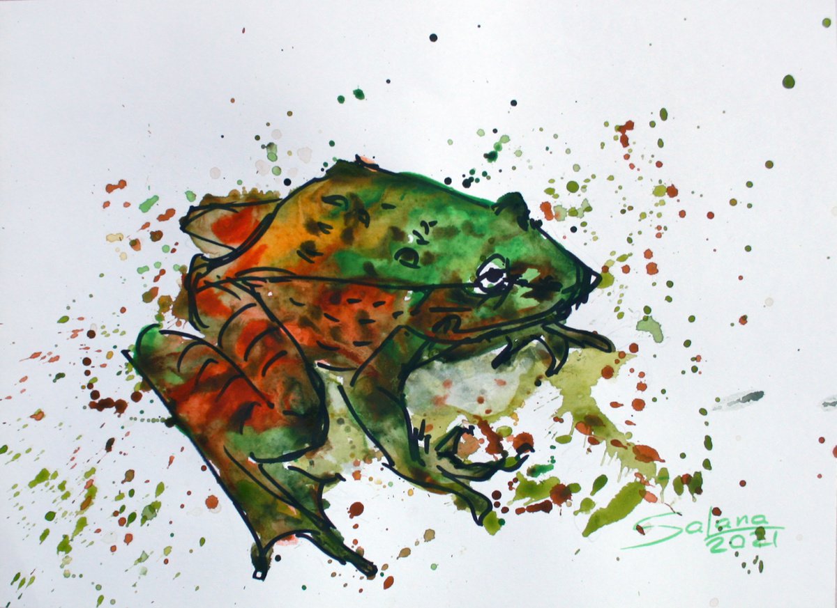Animal Watercolour By Salana Art / Svetlana Samovarova, 11 X 8", Frog 01, Original Artwork