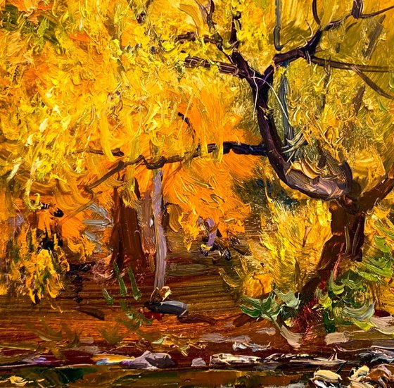 It will snow tomorrow