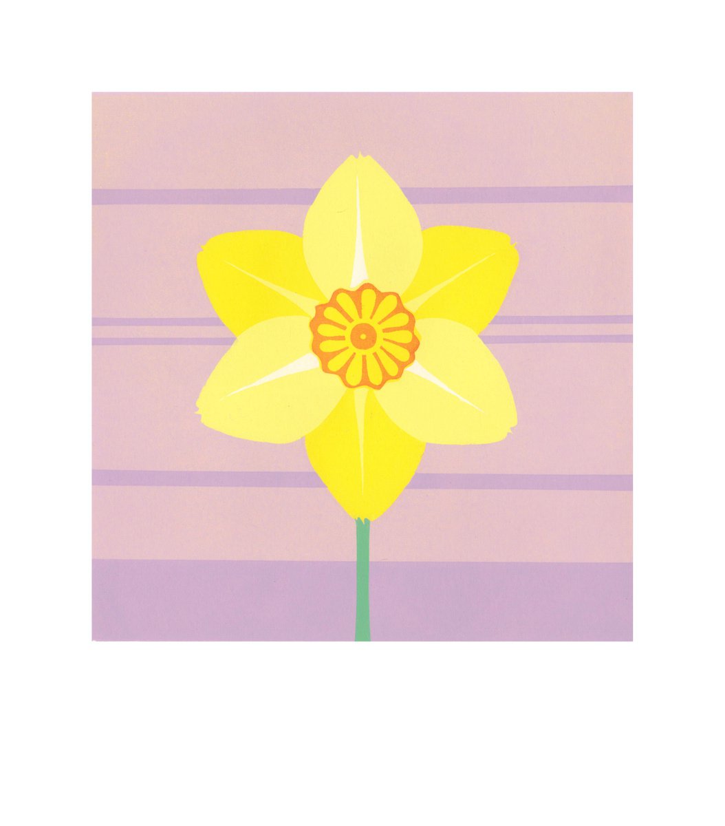 Graphic Botanical Screenprint By Louise Boulton, 17 X 23", Daffodil, Original Artwork