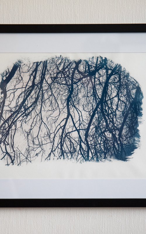 Flow zone, cyanotype 1 by Georgii Vinogradov