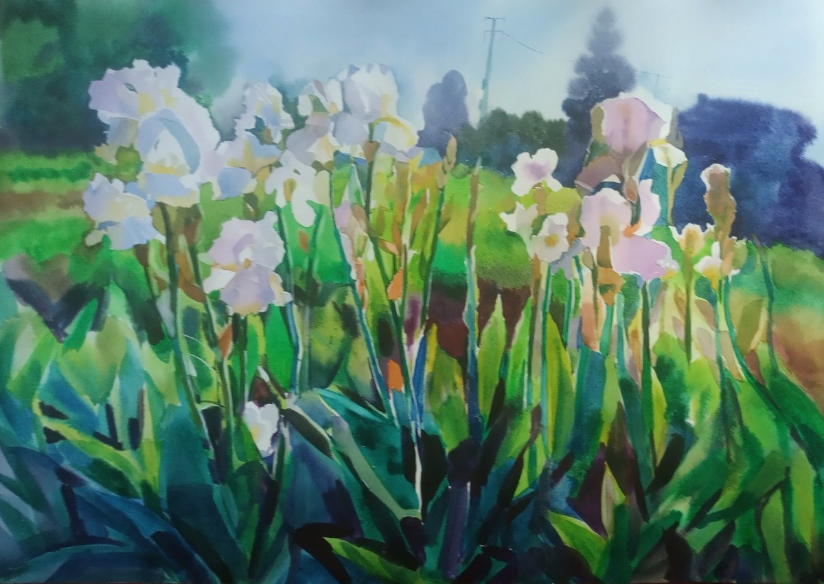 Impressionistic Botanical Watercolour By Valentina Kachina, 28 X 20", Irises Are Blooming, Original Artwork