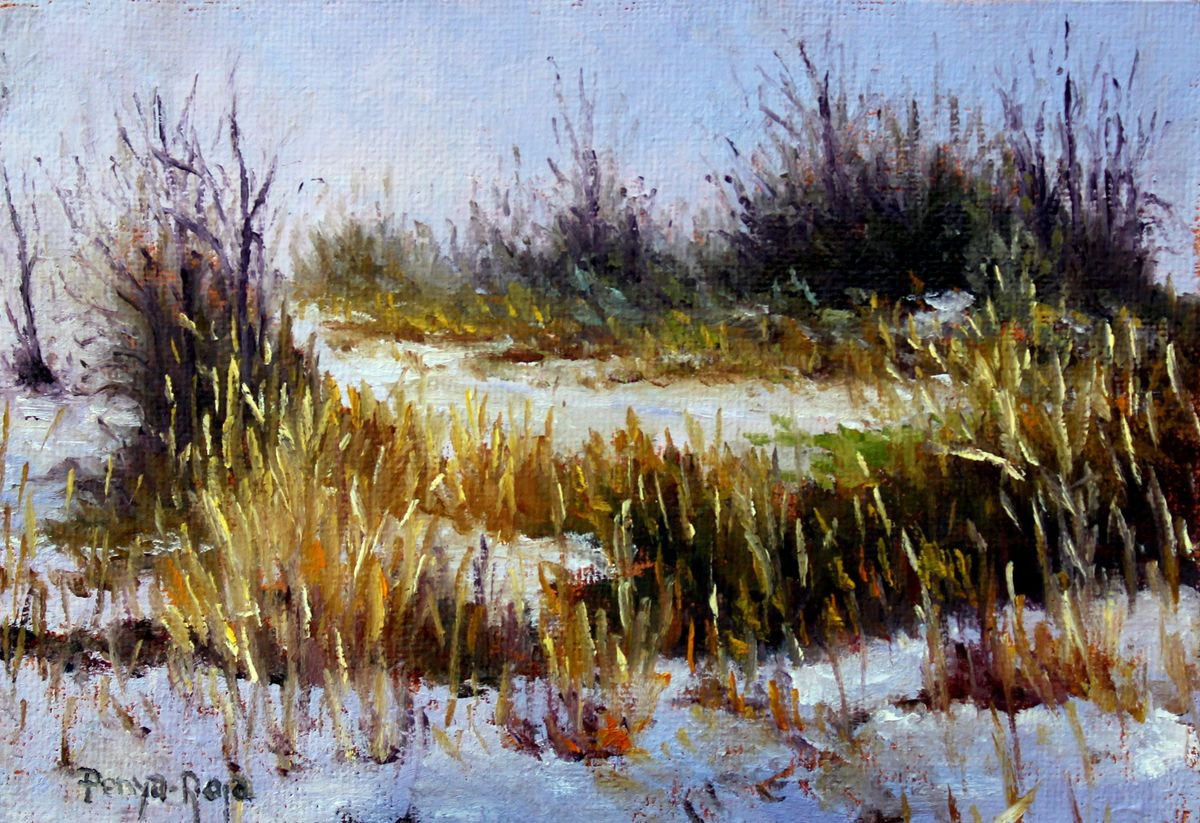 Snowy morning by Vicent Penya-Roja