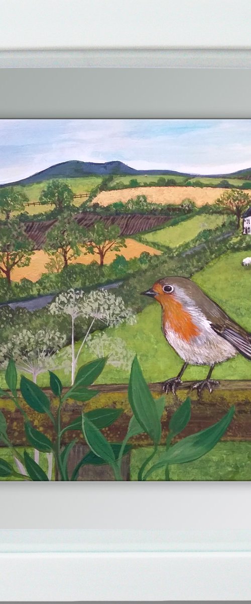 Robin's perch by Carolynne Coulson