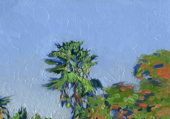 Palm trees on the beach