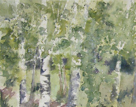 landscape with birch