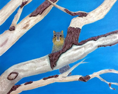 OAK BRANCHES WITH FOX SQUIRREL by Leslie Dannenberg