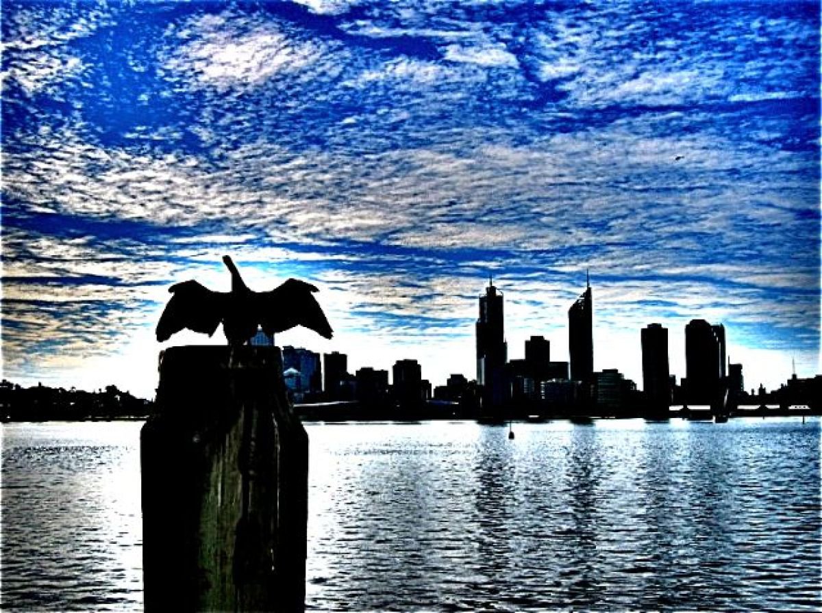 Perth Cityscape by Marc Ehrenbold